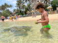 /album/fotogaleria-sri-lanka-maldivy-zajazd-vy-a-my/sri-lanka-zaajzd-8-jpg/